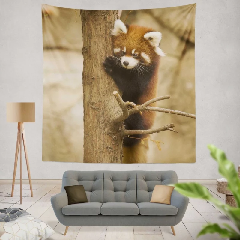 Chicago Zoo Red Panda Encounter Wall Hanging Tapestry