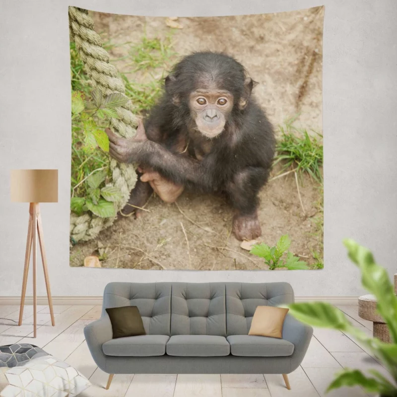 Chimpanzee Playful Antics Primate Joy Wall Hanging Tapestry