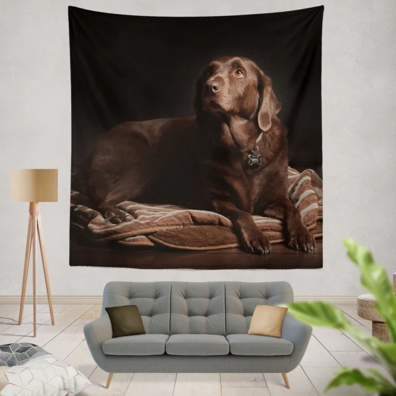 Chocolate Labrador Close-Up Charm Wall Hanging Tapestry