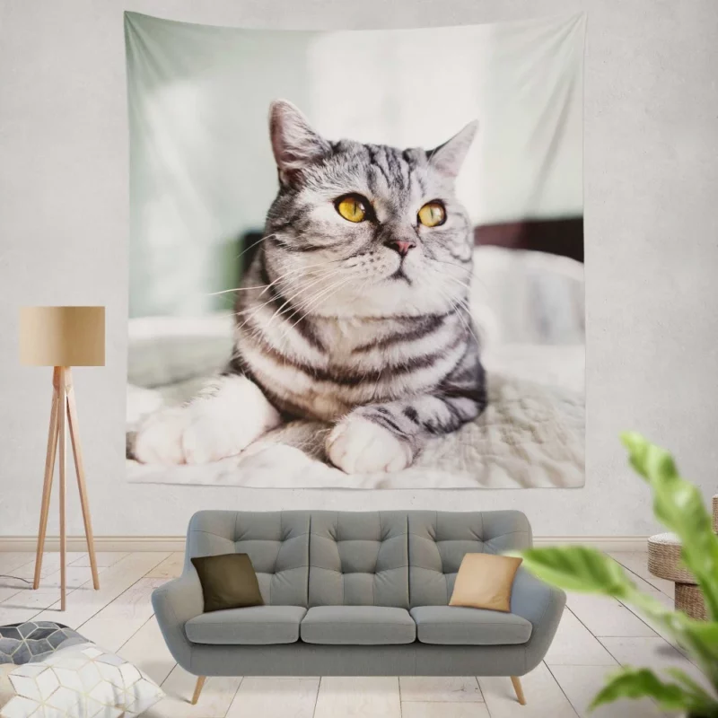 Close-Up Elegance Cat Enigmatic Stare Wall Hanging Tapestry