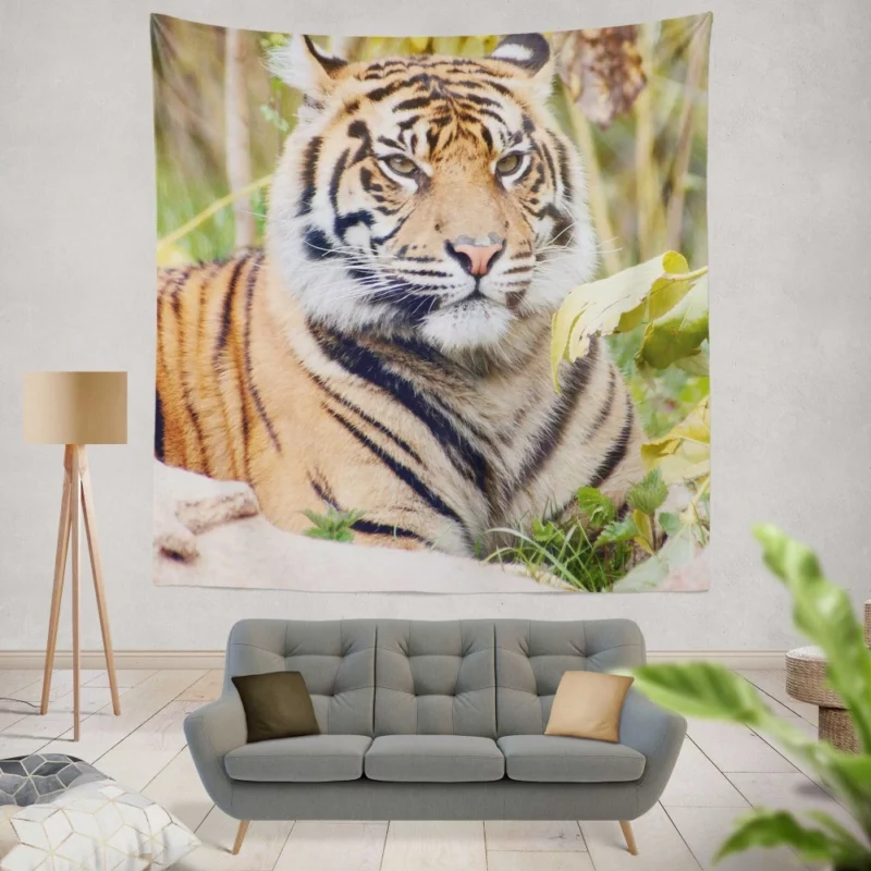 Closeup of the Magnificent Sumatran Tiger Wall Hanging Tapestry