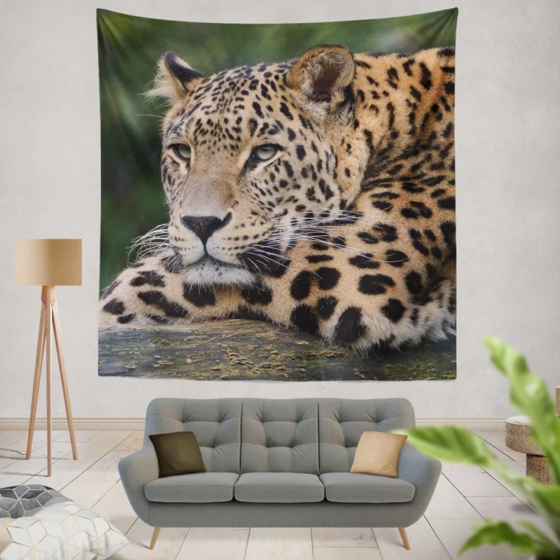 Colorful Leopard Power Wall Hanging Tapestry