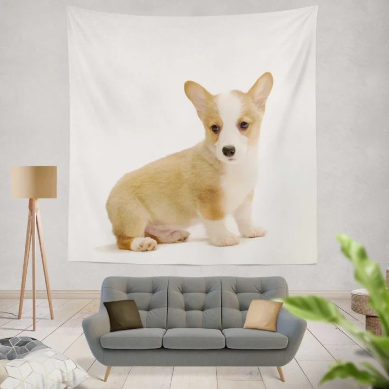 Corgi Playful Persona Furry Delight Wall Hanging Tapestry