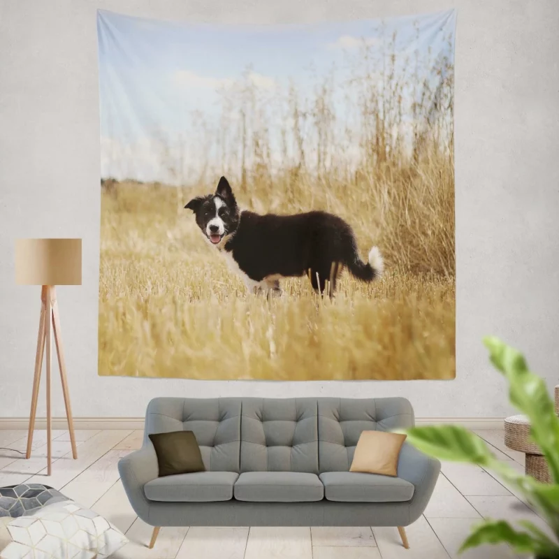 Cumberland Sheepdog Puppy Amidst Fields Wall Hanging Tapestry