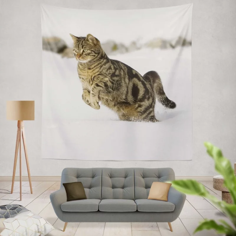 Curious Cat Close-Up Wall Hanging Tapestry