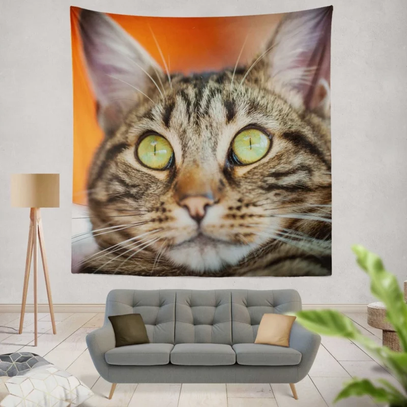 Curious Cat Innocent Stare Feline Charm Wall Hanging Tapestry