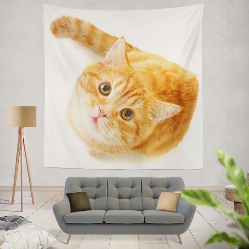 Curious Gaze Cat Whisker Wonders Wall Hanging Tapestry