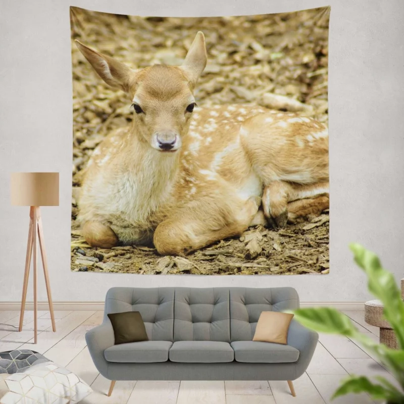 Curious Innocence Baby Deer Wall Hanging Tapestry