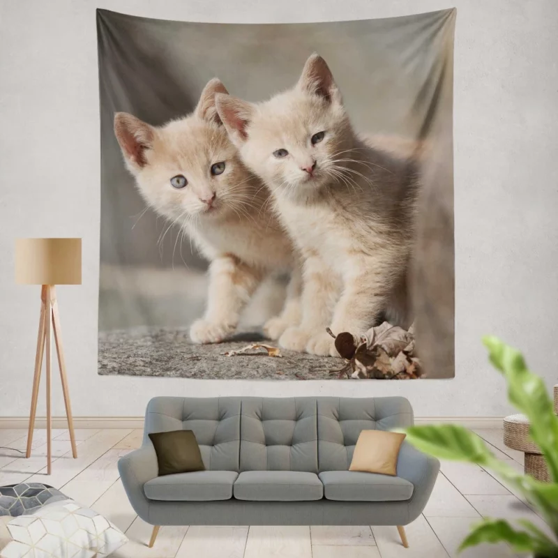 Curious Kitten Cuteness Wall Hanging Tapestry