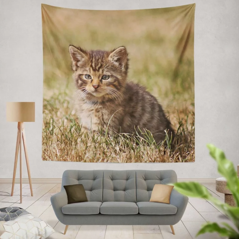 Curious Kitten Innocent Exploration Wall Hanging Tapestry