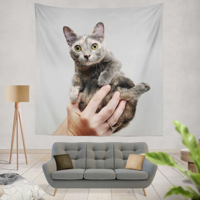 Curious Kitten Innocent Stare Wall Hanging Tapestry