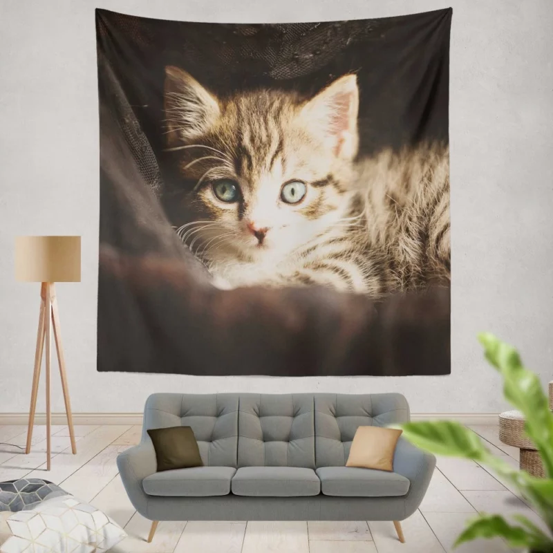 Curious Kitten Mysterious Stare Wall Hanging Tapestry