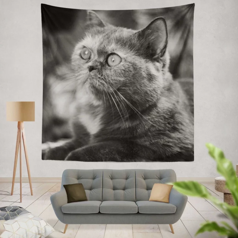 Curious Play Cat Whisker Charm Wall Hanging Tapestry