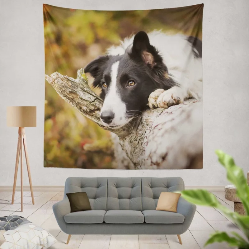 Cute Border Collie Wall Hanging Tapestry