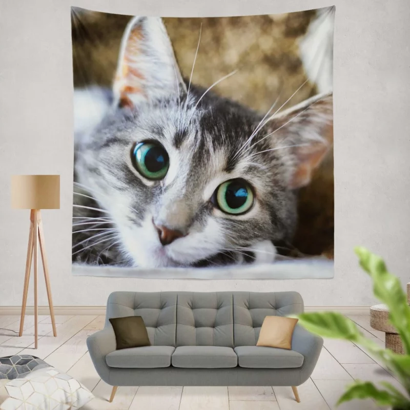 Cute Cat Innocent Stare Feline Charm Wall Hanging Tapestry