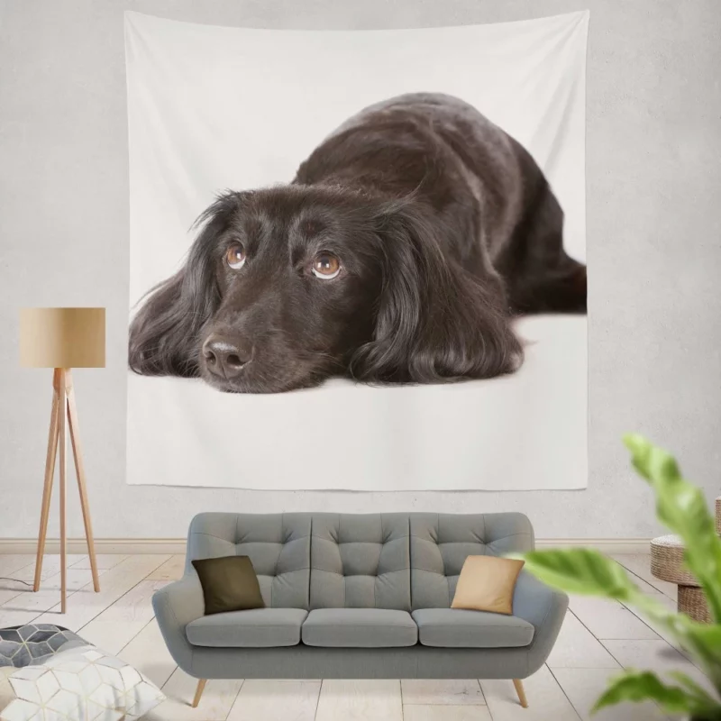 Cute Dachshund Playful Persona Furry Charisma Wall Hanging Tapestry