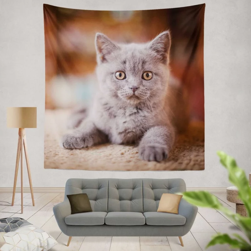 Cute Kitten Endearing Innocence Wall Hanging Tapestry