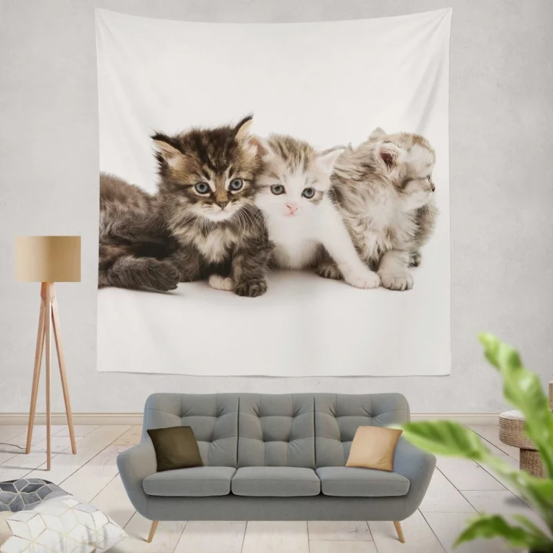 Cute Kittens Innocent Charm Wall Hanging Tapestry