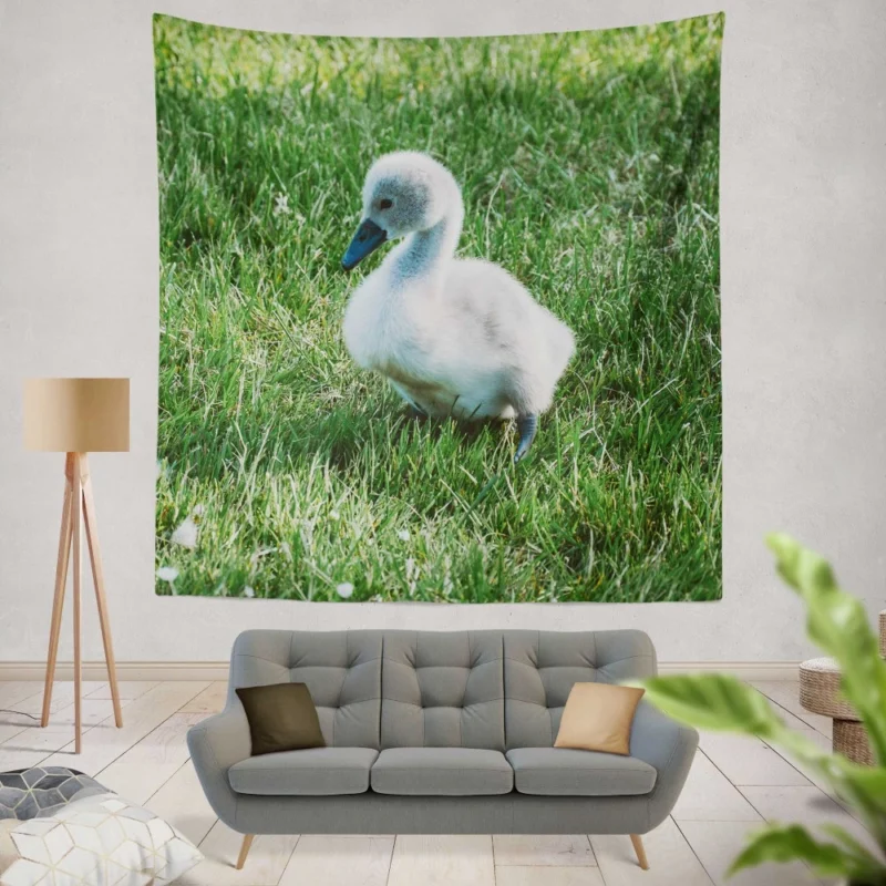 Cute Swan Cygnet Graceful Innocence Wall Hanging Tapestry