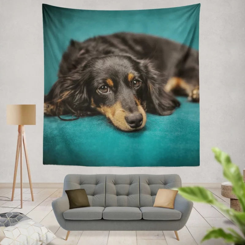 Dachshund Adorable Charm Furry Curiosity Wall Hanging Tapestry