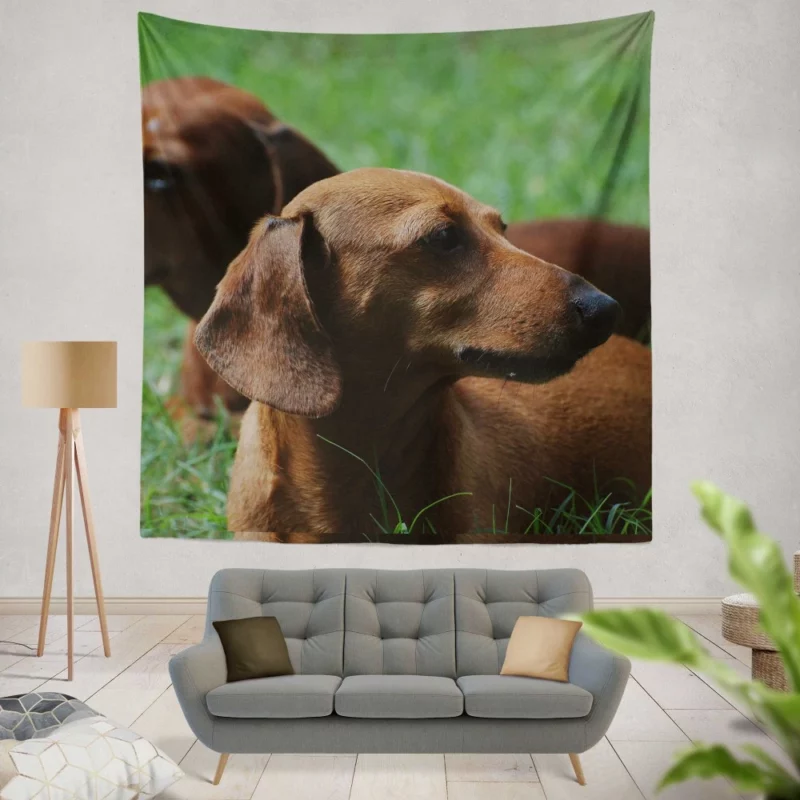 Dachshund Curious Exploration Wall Hanging Tapestry