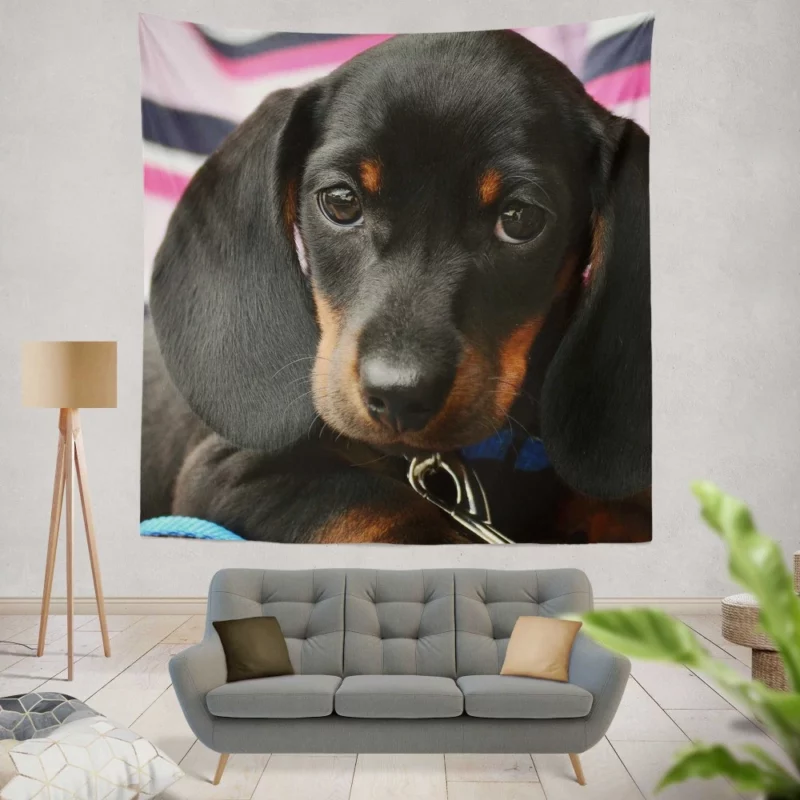 Dachshund Puppy Curious Gaze Furry Wonder Wall Hanging Tapestry