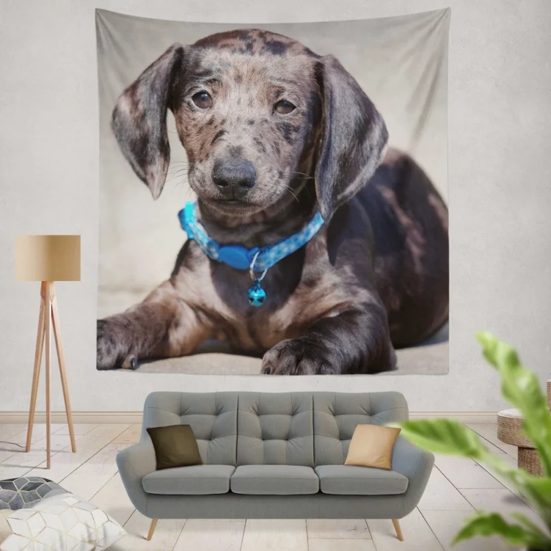 Dachshund Puppy Furry Playfulness Wall Hanging Tapestry