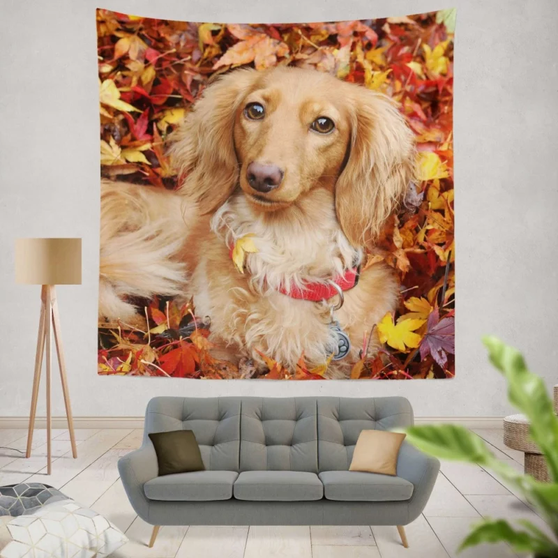 Dachshund in Autumn Playful Foliage Wall Hanging Tapestry