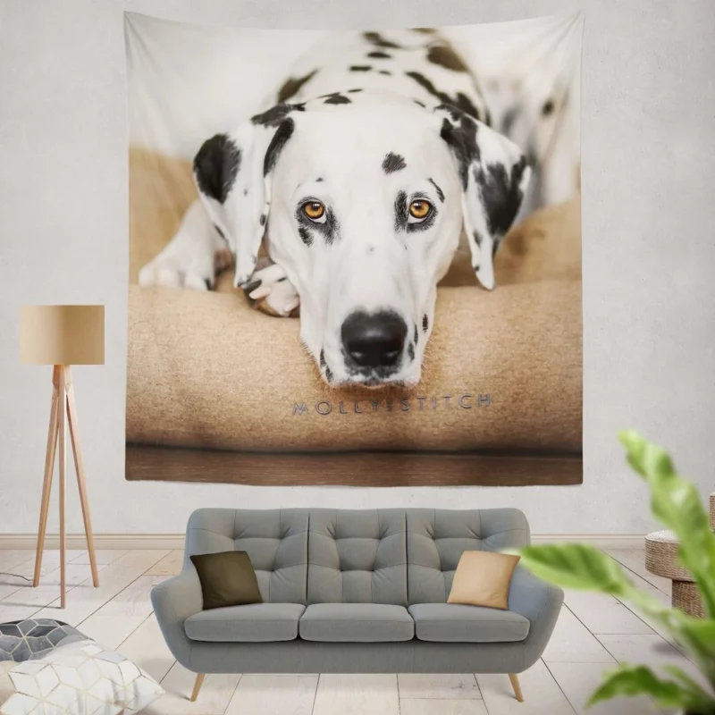 Dalmatian Curious Stare Innocent Gaze Wall Hanging Tapestry