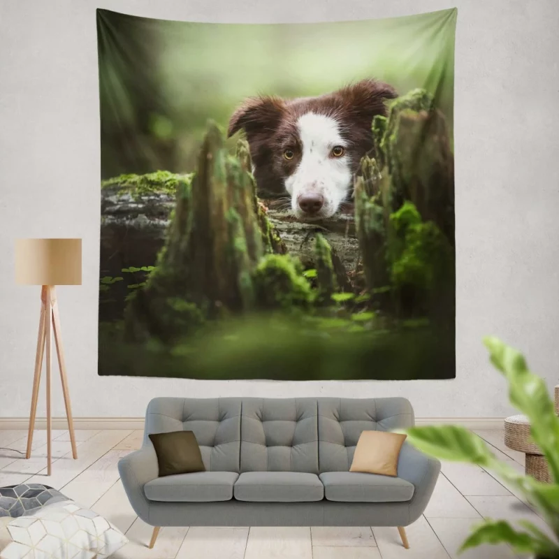 Dangerous Border Collie Wall Hanging Tapestry