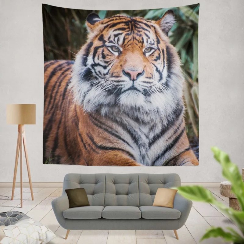 Dangerous Wilderness Tiger Dominance Wall Hanging Tapestry