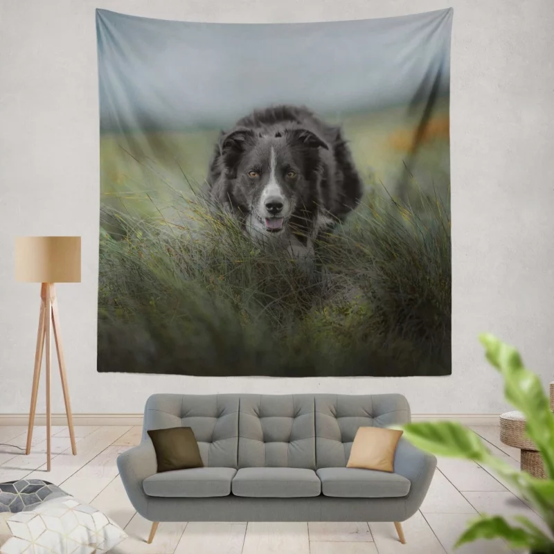 Dark Border Collie Energetic Presence Wall Hanging Tapestry