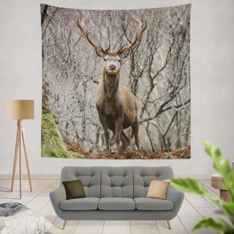 Deer Majestic Stance Wilderness Wonder Wall Hanging Tapestry