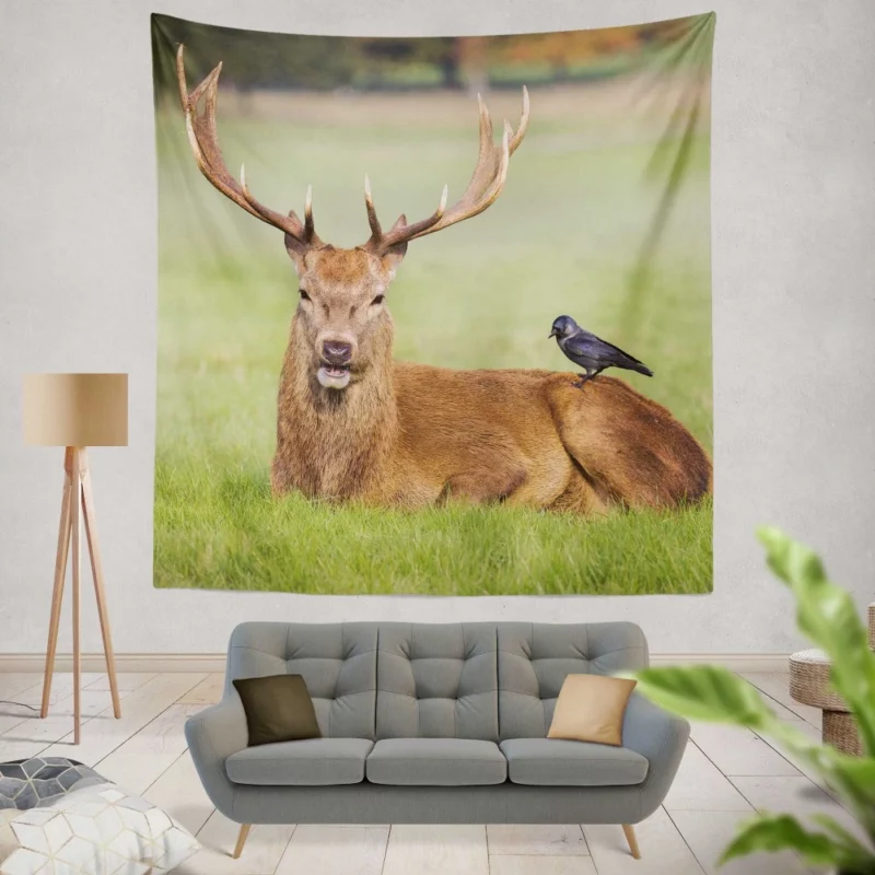 Deer and Bird Graceful Companionship Wall Hanging Tapestry