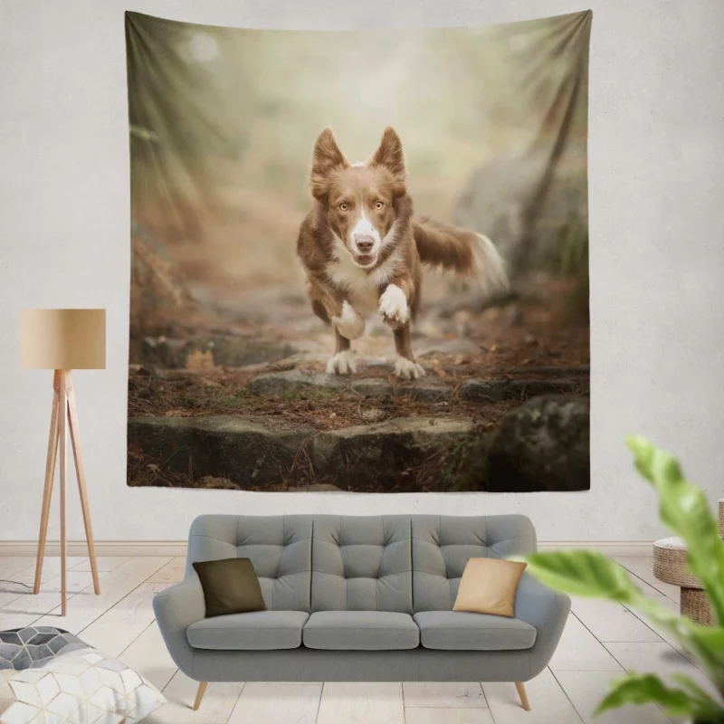 Depth Field Elegance Border Collie Wall Hanging Tapestry