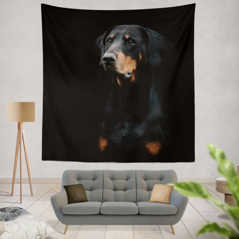 Doberman Pinscher Distinguished Muzzle Wall Hanging Tapestry