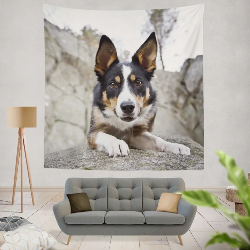 Dog Faithful Gaze Canine Connection Wall Hanging Tapestry