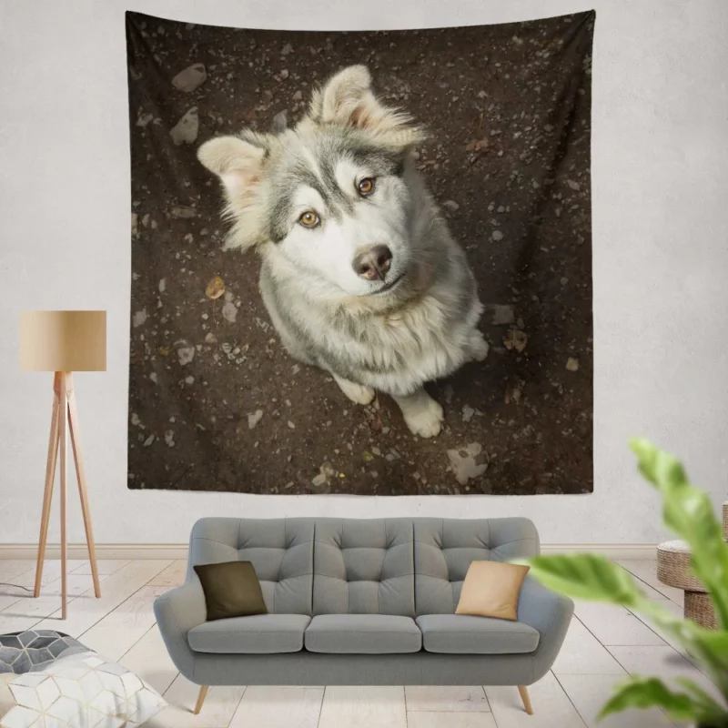 Dog Muzzle in Depth Canine Persona Wall Hanging Tapestry