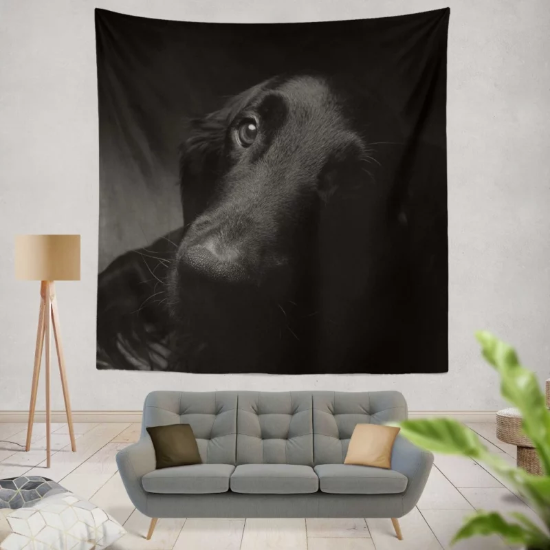 Dog Muzzle in Shadow Canine Persona Wall Hanging Tapestry