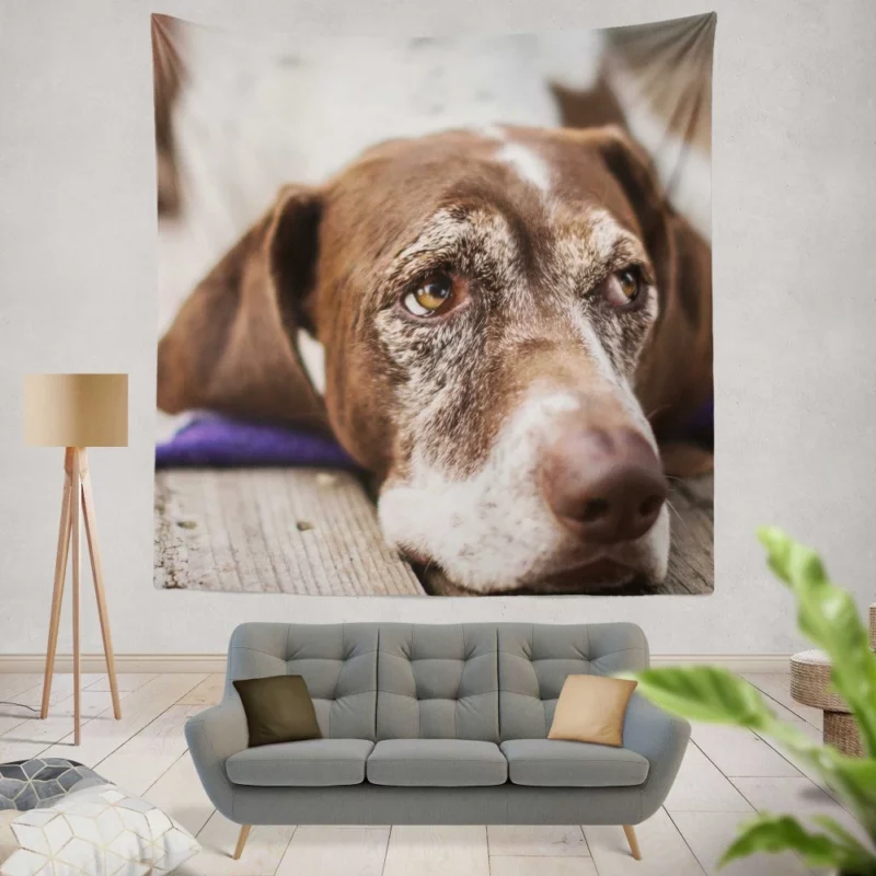 Dog Reflective Gaze Muzzle Moments Wall Hanging Tapestry