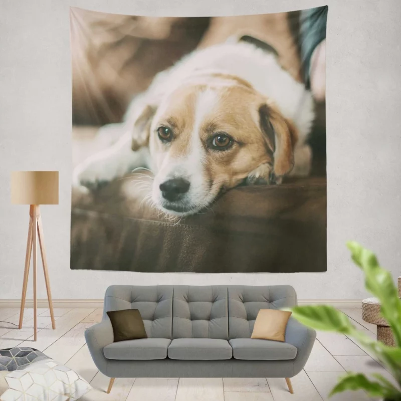 Dog Sofa Retreat Relaxing Moments Wall Hanging Tapestry