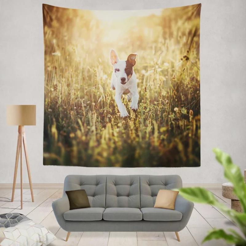 Dog Sunny Rest Canine Tranquility Wall Hanging Tapestry