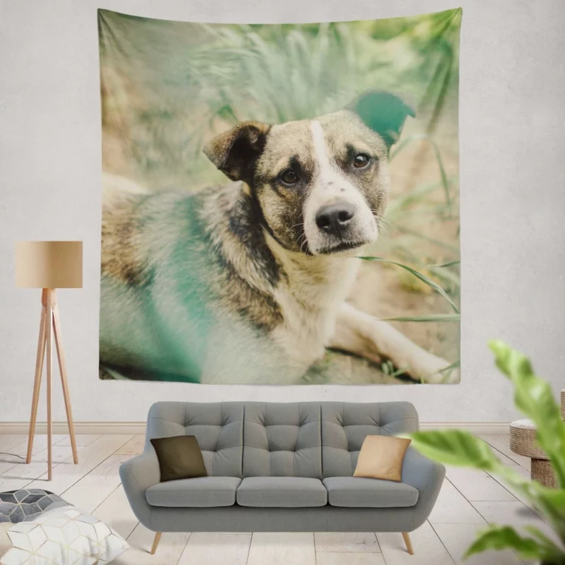 Dog Thoughtful Gaze Canine Contemplation Wall Hanging Tapestry