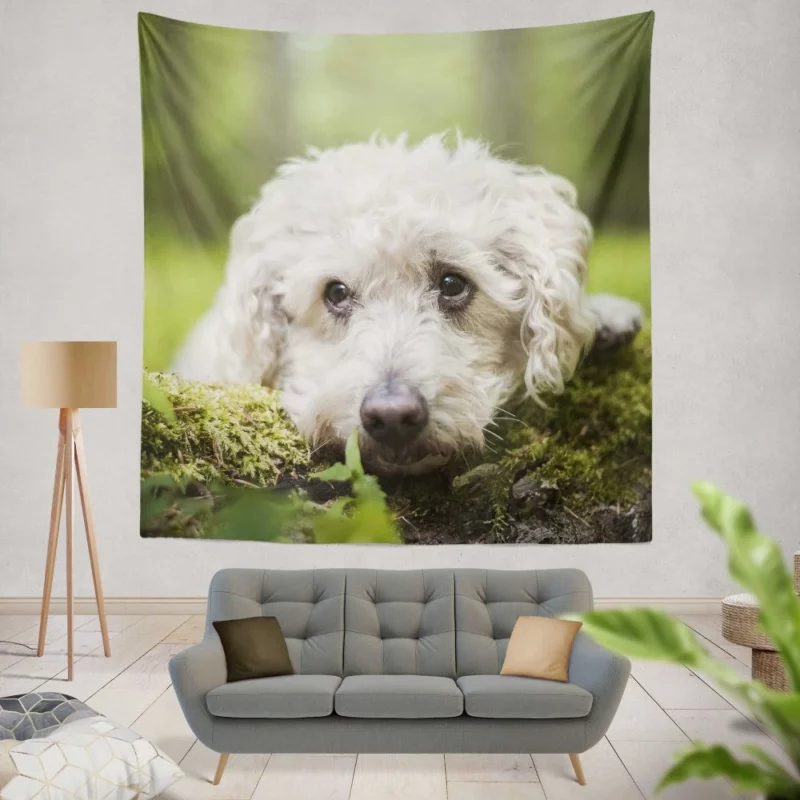 Dog Winter Stance Nature Beauty Wall Hanging Tapestry