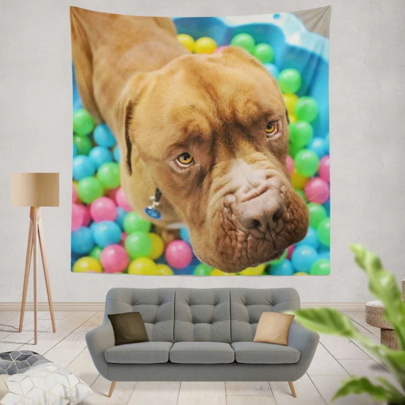 Dogue de Bordeaux Distinguished Muzzle Canine Elegance Wall Hanging Tapestry