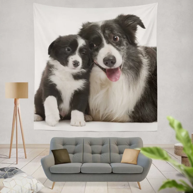 Dynamic Duo Border Collie Pups Wall Hanging Tapestry