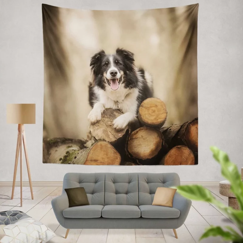 Elegance Border Collie Dog Wall Hanging Tapestry