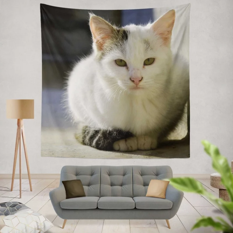 Elegant Feline Gaze Wall Hanging Tapestry