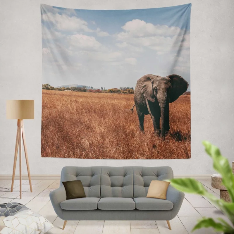 Elephant Cute Wall Hanging Tapestry