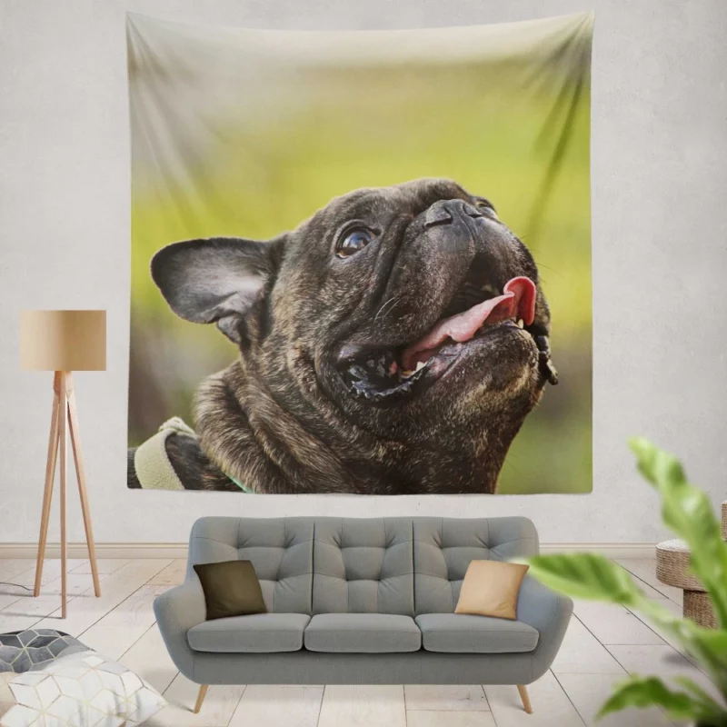 Endearing French Bulldog Expressive Charm Wall Hanging Tapestry